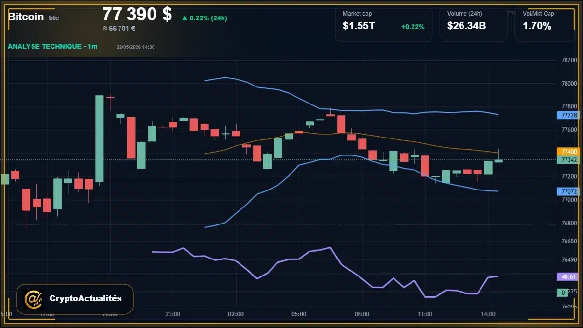 Analyse technique du cours Bitcoin avec données de marché récentes